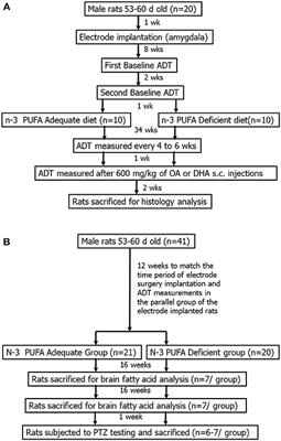 Dietary Omega-3 Polyunsaturated Fatty Acid Deprivation Does Not Alter Seizure Thresholds but May Prevent the Anti-seizure Effects of Injected Docosahexaenoic Acid in Rats